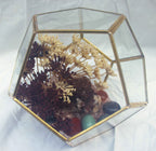 Crystal Geode Terrarium Hematoid Quartz - Grounded Garden