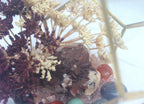 Crystal Geode Terrarium Hematoid Quartz - Grounded Garden