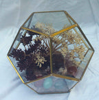 Crystal Geode Terrarium Hematoid Quartz - Grounded Garden