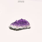 Amethyst Cluster