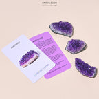 Amethyst Cluster