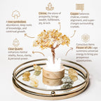 Citrine & Clear Quartz Tree Lamp