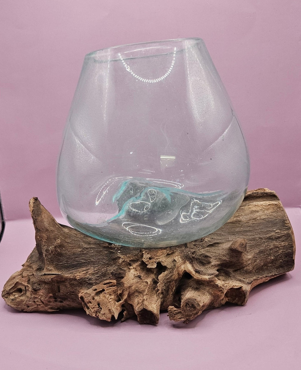 Small/Medium Teak Root Driftwood and Molten Glass Terrarium- Single Globe