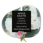 Moss Agate Dragon, You Choose 2-2.5" Crystal Dragon Head Skull for Stable Growth